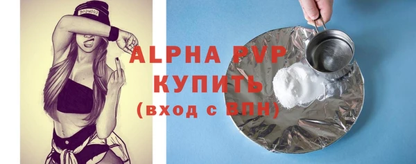 СК Алексин