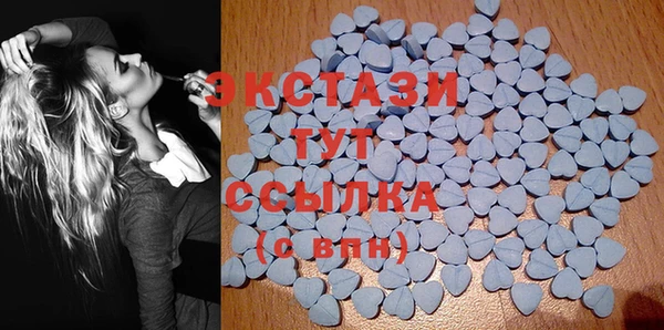 СК Алексин