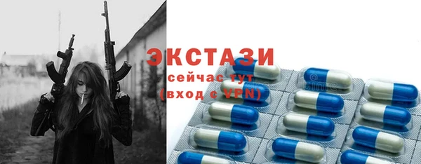 СК Алексин