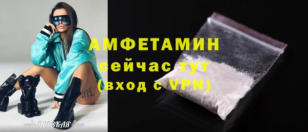 СК Алексин