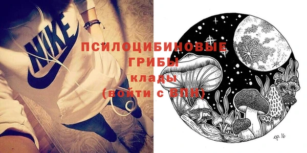 прущая мука Алзамай