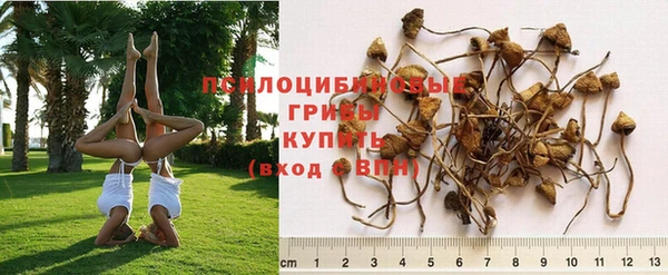 кокаин колумбия Алексеевка