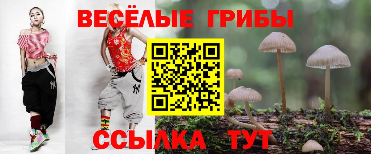 Галлюциногенные грибы MAGIC MUSHROOMS Лобня