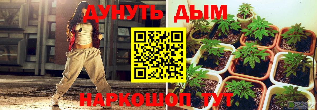 Марихуана ГИДРОПОН  Вход с VPN  Канабис сатива  Шишки марихуана план  Лобня 